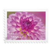 Dahlias Stamps image